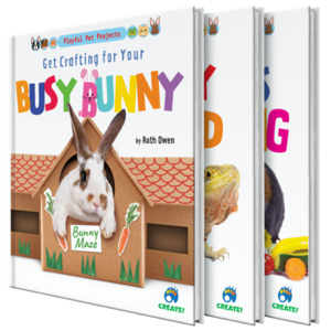 Playful Pet Projects