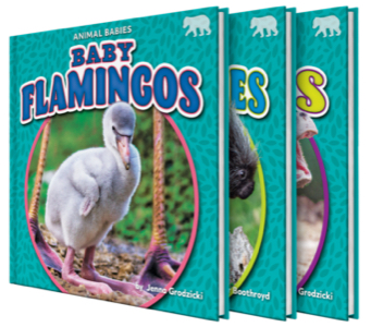 Animal Babies Set Two