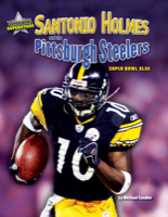 Santonio Holmes and the Pittsburgh Steelers