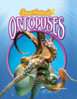 Octopuses