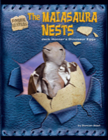 The Maiasaura Nests