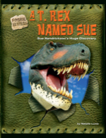 A T. rex Named Sue