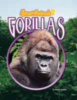 Gorillas