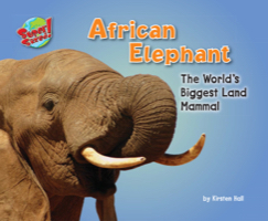 African Elephant