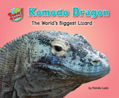 Komodo Dragon