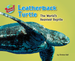 Leatherback Turtle