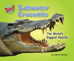 Saltwater Crocodile