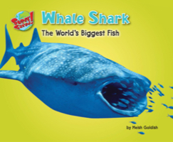 Whale Shark