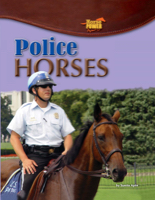 Police Horses