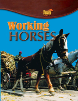 Working Horses