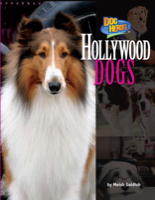 Hollywood Dogs