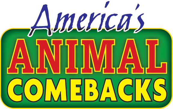 America's Animal Comebacks