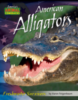 American Alligators