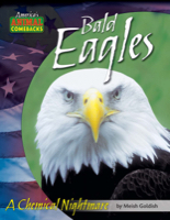 Bald Eagles