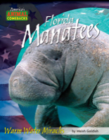 Florida Manatees