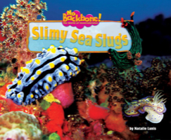 Slimy Sea Slugs