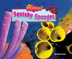 Squishy Sponges