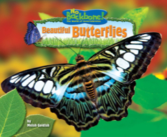 Beautiful Butterflies
