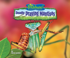 Deadly Praying Mantises
