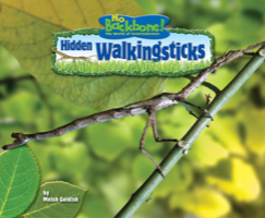 Hidden Walkingsticks