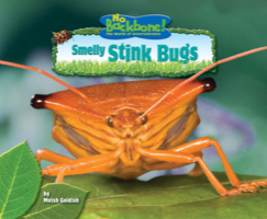 Smelly Stink Bugs