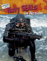 Navy SEALs in Action