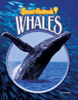 Whales