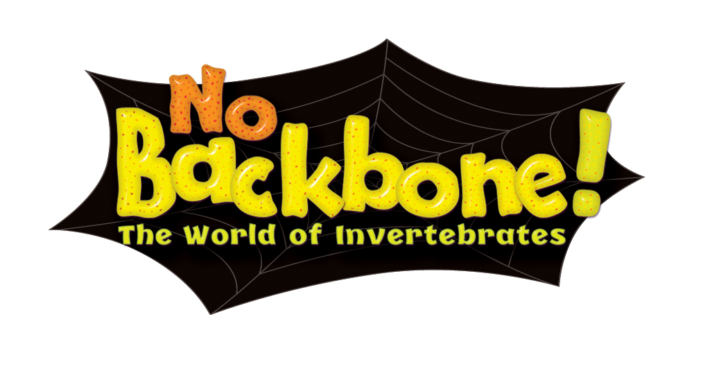 No Backbone! The World of Invertebrates 3