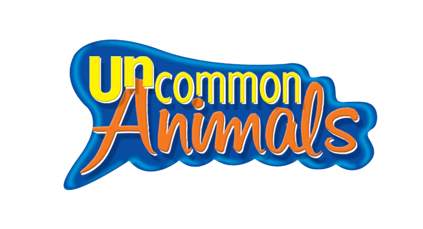 Uncommon Animals