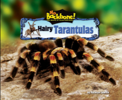 Hairy Tarantulas