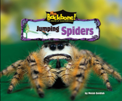Jumping Spiders