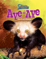Aye Aye