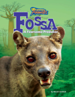 Fossa