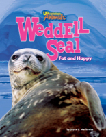 Weddell Seal