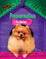 Pomeranian
