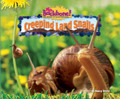 Creeping Land Snails