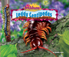 Leggy Centipedes