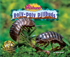 Roly-Poly Pillbugs