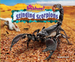Stinging Scorpions