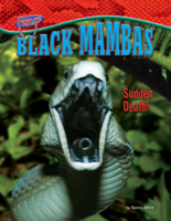 Black Mambas