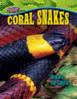 Coral Snakes