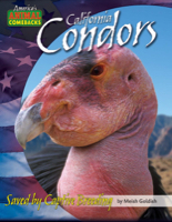 California Condors