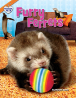 Furry Ferrets