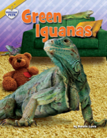 Green Iguanas