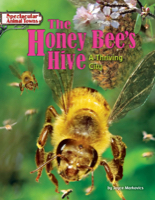 The Honey Bee's Hive