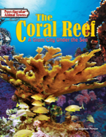 The Coral Reef
