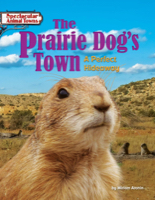 The Prairie Dog’s Town