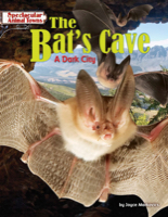 The Bat’s Cave