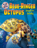 Blue-Ringed Octopus