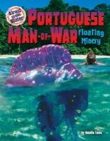 Portuguese Man-of-War